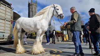 Ennistymon Horse Fair 7 April 2024 [upl. by Allemac]