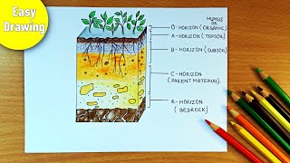 soil profile drawing  layers of soil diagram  how to draw soil profile diagram  ArtwithB [upl. by Namlak]