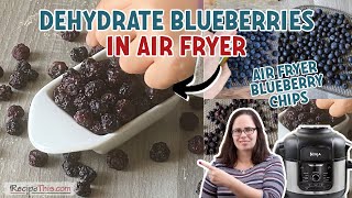 Dehydrate Blueberries In The Air Fryer Ninja Foodi Method [upl. by Leelah798]