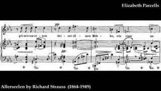 Elizabeth Parcells Allerseelen by Richard Strauss [upl. by Roehm876]