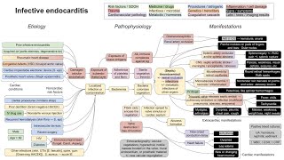 Infective endocarditis mechanism of disease [upl. by Cyma129]