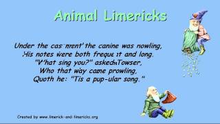 ♣♣♣ Animal Limericks  Example Limerick Poems ♣♣♣ [upl. by Aremihc]