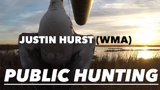 Texas Public Duck Hunting  Justin Hurst WMA [upl. by Hemminger900]