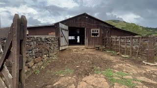 UMA LINDA FAZENDA ANTIGA EM SÃO JOAQUIM SEU SALVIO [upl. by Ennagem524]