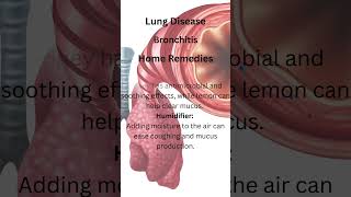 Bronchitis 101 Everything You Need To Know bronchitis [upl. by Eelak]