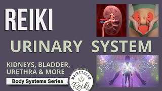 Reiki for Your Kidneys and Urinary System 🥛8 in Series [upl. by Ysied]