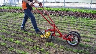 Terrateck  Double wheel hoe cultivator with finger weeder [upl. by Fowler489]