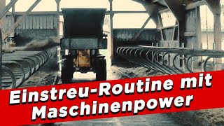 EinstreuRoutine mit Maschinenpower  My KuhTube Film 480 [upl. by Ardnosac899]