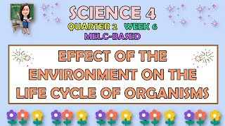 SCIENCE 4  QUARTER 2 WEEK 6  EFFECT OF THE ENVIRONMENT ON THE LIFE CYCLE OF ORGANISMS  MELCBASED [upl. by Kcirdde287]