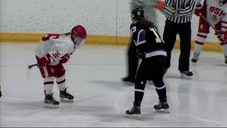 ChaskaChanhassen vs Benilde  St Margarets Girls Hockey 11818 [upl. by Llenrev173]