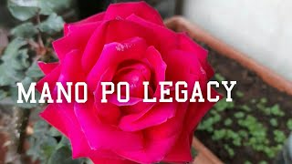 Mano Po Legacy January 6 2022 Full Episode 3 [upl. by Nylodnarb]