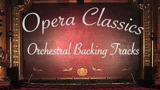 Pourquoi Me Reveiller  Orchestral Backing Track  Opera Karaoke [upl. by Ayotna]