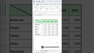 Making Diagonal in a cell ll 🔥🔥💯😎 Advanced Excel ll shorts [upl. by Fortna]