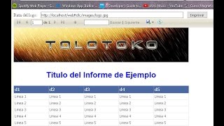 55 Informes RDLC en ASPNET [upl. by Paquito119]