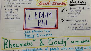 Ledum Pal for Rheumatic and Gouty complaints Homoeopathy remedy easy explanation ledumpal injury [upl. by Htiffirg246]