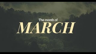 March Wrap Up and Response to iWriterly Scandal [upl. by Pence]