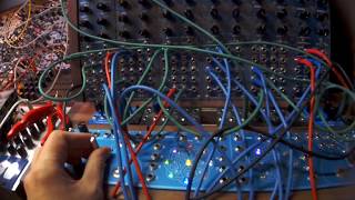 Wiard 300 Synth  Spring Reverb Music Thing Modular [upl. by Ahaelam]