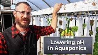 Lowering pH in Aquaponics Systems [upl. by Giess]