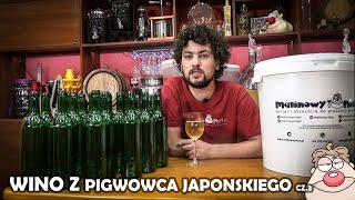 Wino musujące z Pigwowca Japońskiego cz3 Butelkowanie [upl. by Dihsar]