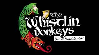 The Whistlin Donkeys  Travelin Soldier  LIVE at Mandela Hall [upl. by Eppillihp134]