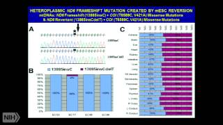 A Mitochondrial Etiology of Metabolic and Degenerative Diseases Cancer and Aging [upl. by Edmea]