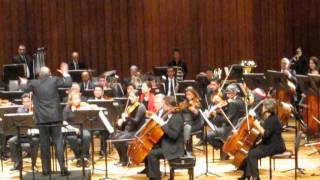 Orquesta Filarmonica de Bogota El Burrito Sabanero [upl. by Irving]