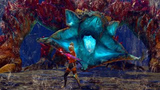 Elemental Sword amp Shield is more powerful than ever  Gaismagorm SnS Solo  【MHRise Sunbreak】 [upl. by Irwinn]