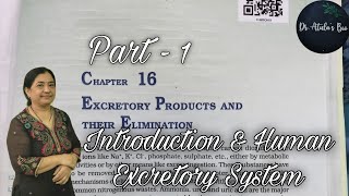 Excretory products and their elimination Part 1  Class 11 Biology  NCERT NEET [upl. by Calan]