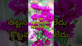 ఒకరి పై పగ తీర్చుకోవాలంటే [upl. by Rahel]