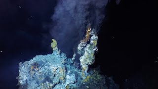 What are hydrothermal vents [upl. by Pall324]