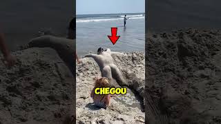 As pessoas na praia não acreditaram no que viram 😮 [upl. by Mohr503]