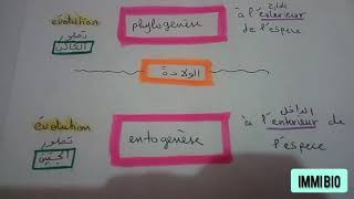 الفرق بين ontogenèse و phylogenèse [upl. by Anilatsyrc]