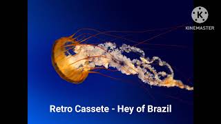 Retro Cassete  Hey of Brazil [upl. by Emerej259]