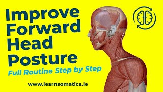 Improve Forward Head Posture the Easy Way FULL ROUTINE [upl. by Araccat527]