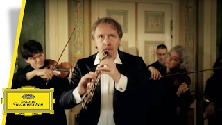 Albrecht Mayer  Hoffmeister  Concerto For Oboe And Orchestra Music Video [upl. by Ailaro237]