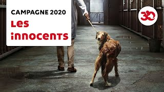 Les Innocents  Campagne Fondation 30 Millions dAmis 2020 [upl. by Karolyn]