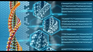 Understanding Genotyping Technologies Methods and Applications 3 Minutes [upl. by Rekab404]