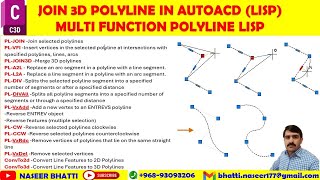 Join 3d Polyline Lisp in AutoCAD  Lisp to Convert 3d Polyline to 2d Polyline  MultiFunction Lisp [upl. by Mchail]