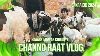 Chand raat ki ronakSab janwar khol diye bakray aur cow bhaagai  bakra eid vlog 2024 [upl. by Inalial360]