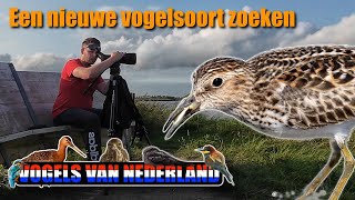 Zoeken naar een nieuwe Vogelsoort voor Nederland [upl. by Asiluj]