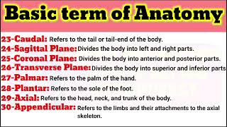 Basic term of anatomy  Anatomy terminology  Theory and practical class of mlt and histopathology [upl. by Anirac523]