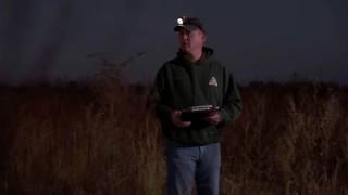 Bobwhites quotKoileequot Calling all Quail Hunters [upl. by Hartill412]