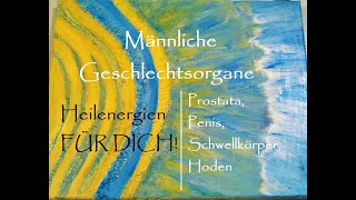 Männliche Geschlechtsorgane I Prostata I Penis I Schwellkörper I Hoden  Heilenergien FÜR DICH [upl. by Acira]