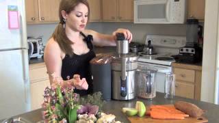 Juicer Review on the Breville Variable Speed Juicer [upl. by Tolmach81]