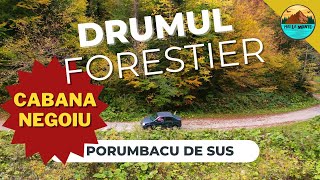 Drumul forestier Cabana Negoiu Cariera de Marmura Porumbacu [upl. by Laresa]