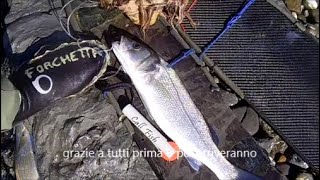 pesca sub riflessione mimetismo e richiami estremi [upl. by Ati755]