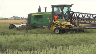 Swathing Winter Canola Popular and Hornet Southern Kansas [upl. by Eronaele]