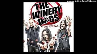 The Winery Dogs  Oblivion [upl. by Anitra]