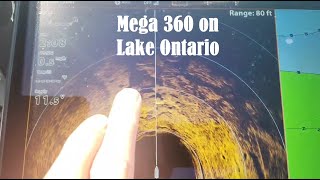 Humminbird Mega 360  Garmin LiveScope  Ultimate Great Lakes Smallmouth Setup Live Highlight [upl. by Inalak]