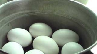 How To Make Hard Boiled Eggs Come Out Right Almost Every Time [upl. by Trudy]